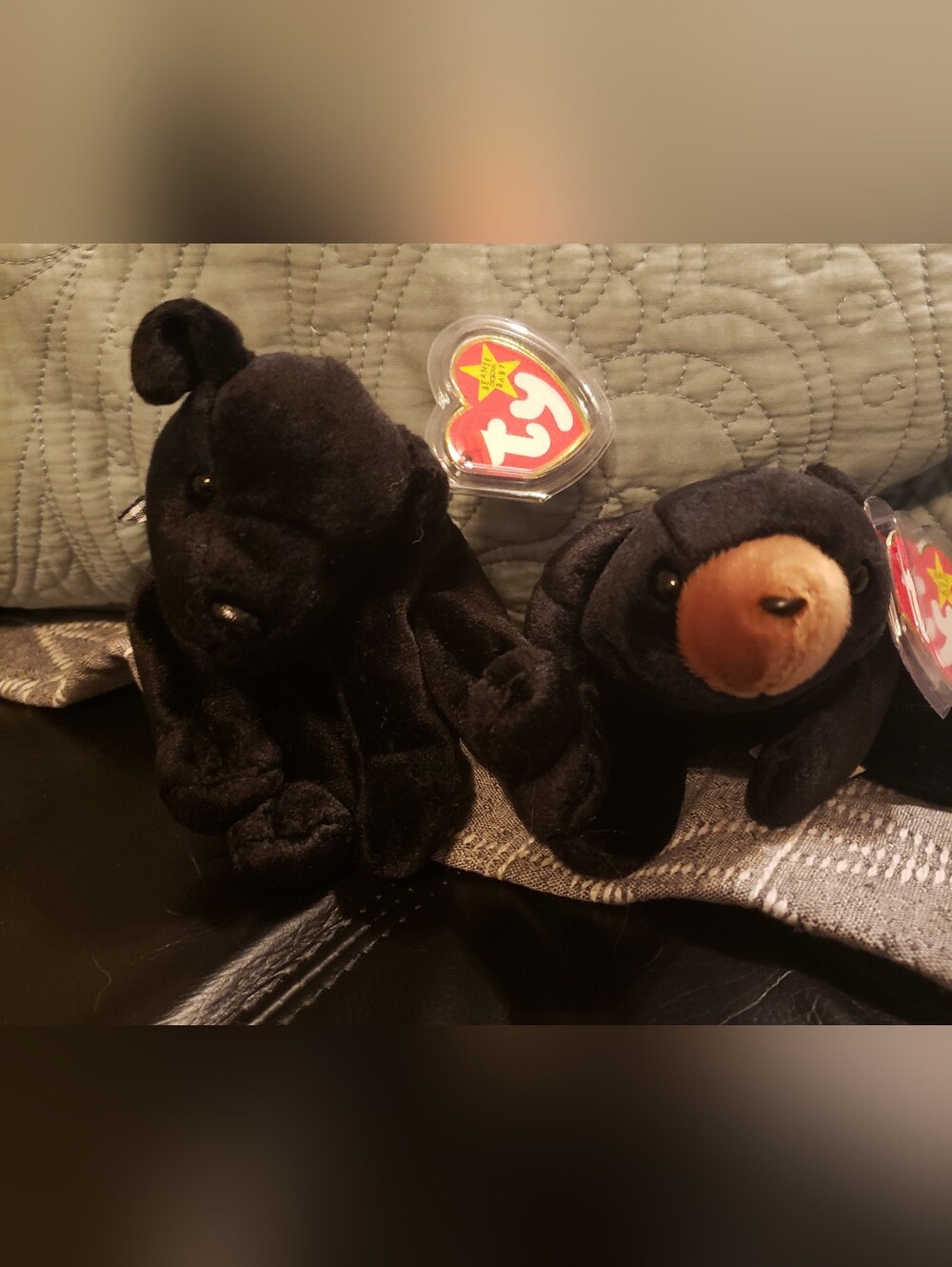 TY Black Plush Bear Pair with Brown Snout
